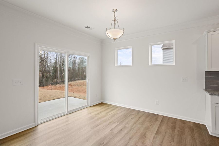 Spacious, unfurnished interior of a new home in Bellevue, Greenville (Image 18).