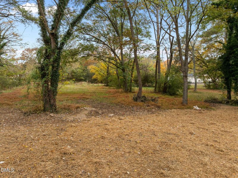 8-web-or-mls-DJI_0707 8-web-or-mls-DJI_0707