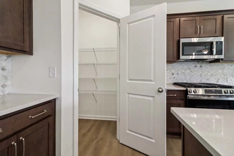 Sample Photo: Walk-in Pantry