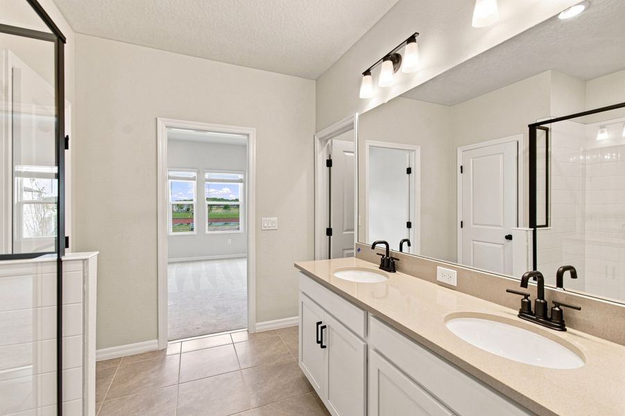 Owner's Bath