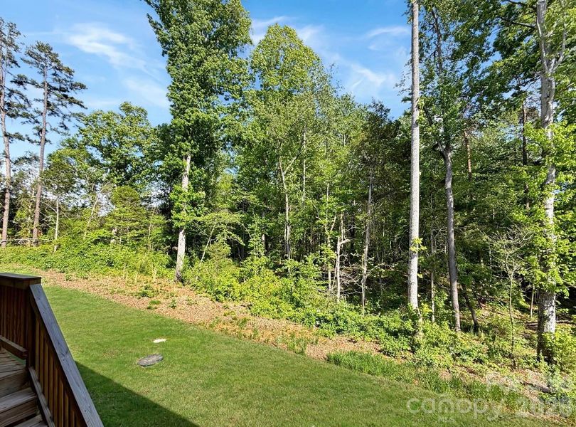 Natural landscape and outdoor views near Brownstone Ridge in Mooresville (Image 26).