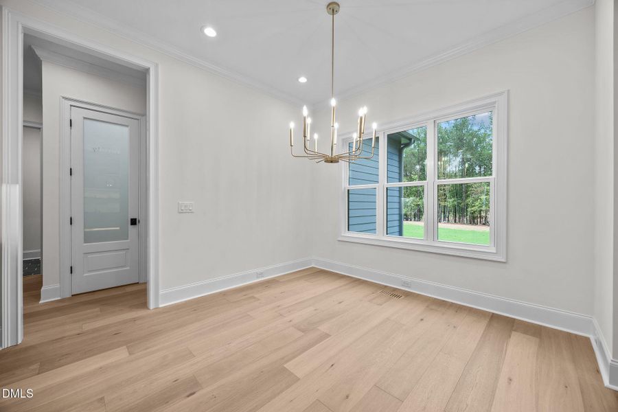 23-web-or-mls-IMG_1980