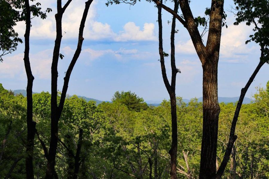 Natural landscape and outdoor views near  in Blue Ridge (Image 46).