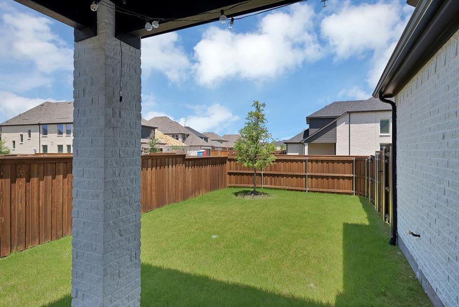 Expansive backyard featuring a manicured lawn, a young tree, and a tall wood privacy fence