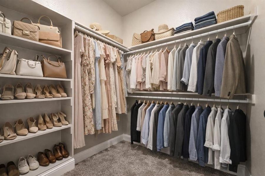 Walk in closet with carpet floors