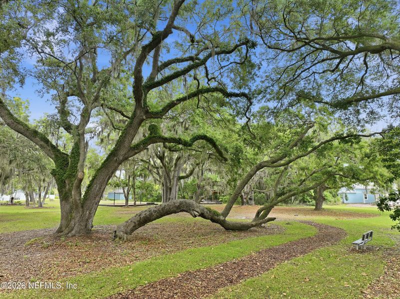 Natural landscape and outdoor views near  in Jacksonville (Image 59).