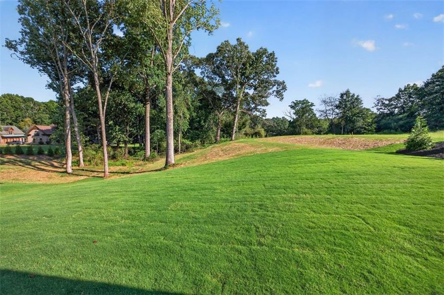 Natural landscape and outdoor views near  in Gainesville (Image 53).