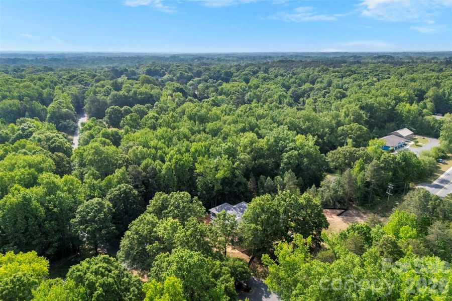 Natural landscape and outdoor views near  in Charlotte (Image 12).