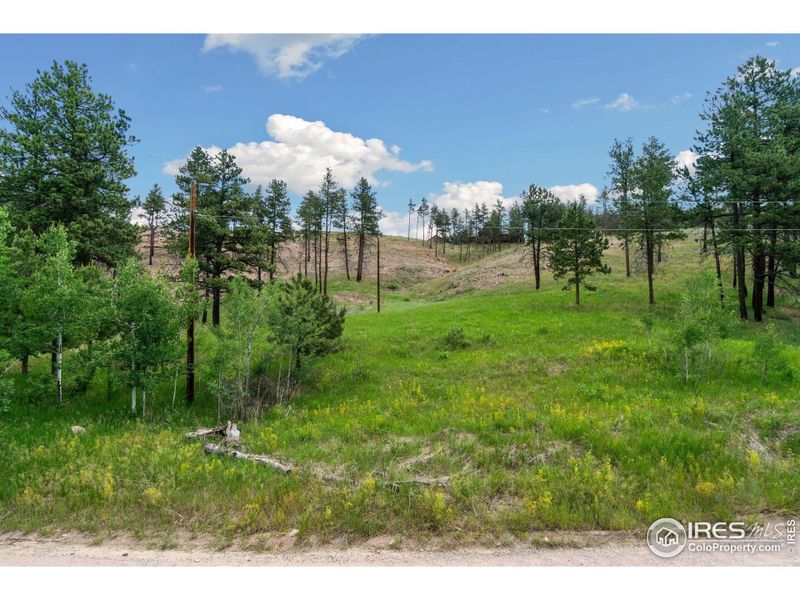 6.7 acres of rolling ponderosa, aspen, and meadows.