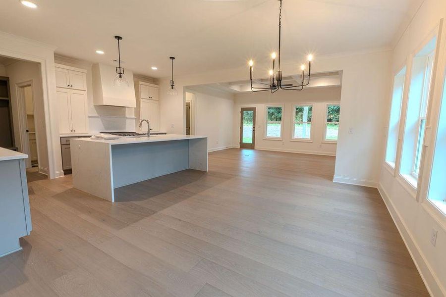 Spacious, unfurnished interior of a new home in , Hoschton (Image 40).