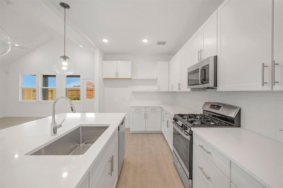 Chef-worthy kitchen