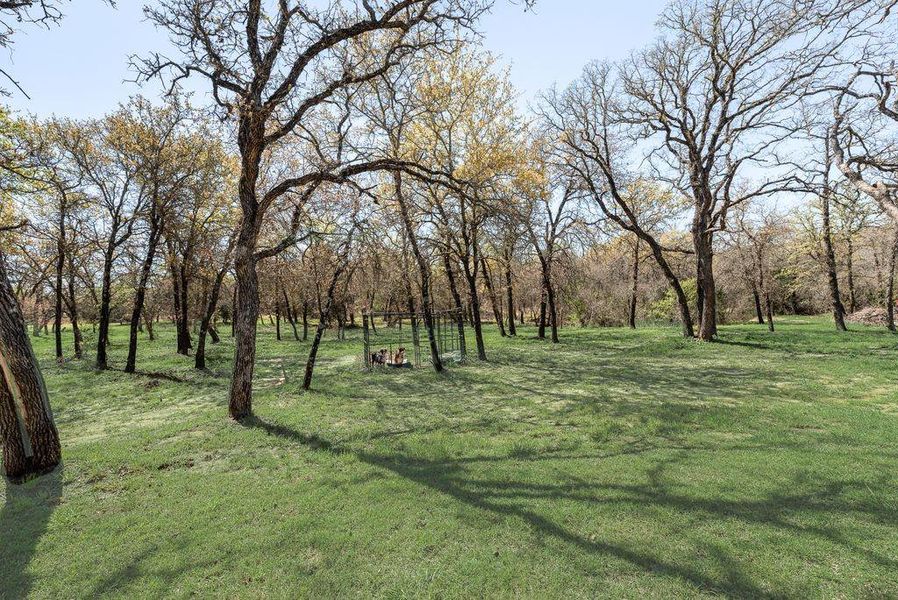 This beautiful home has almost 3 acres! ready for you to expand and create your design!