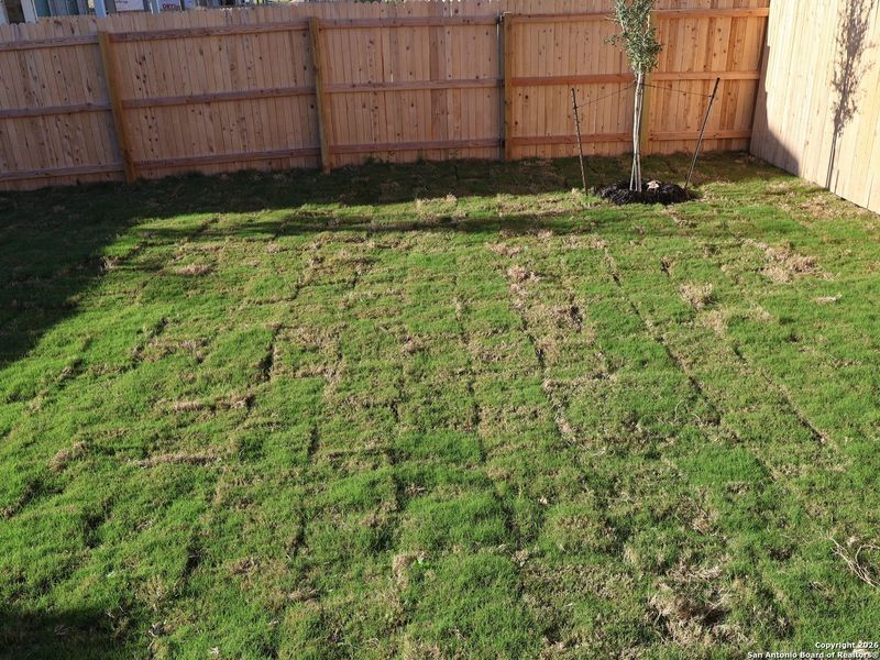 Exterior details and patio area of a home in Paloma Park, Converse (Image 22).