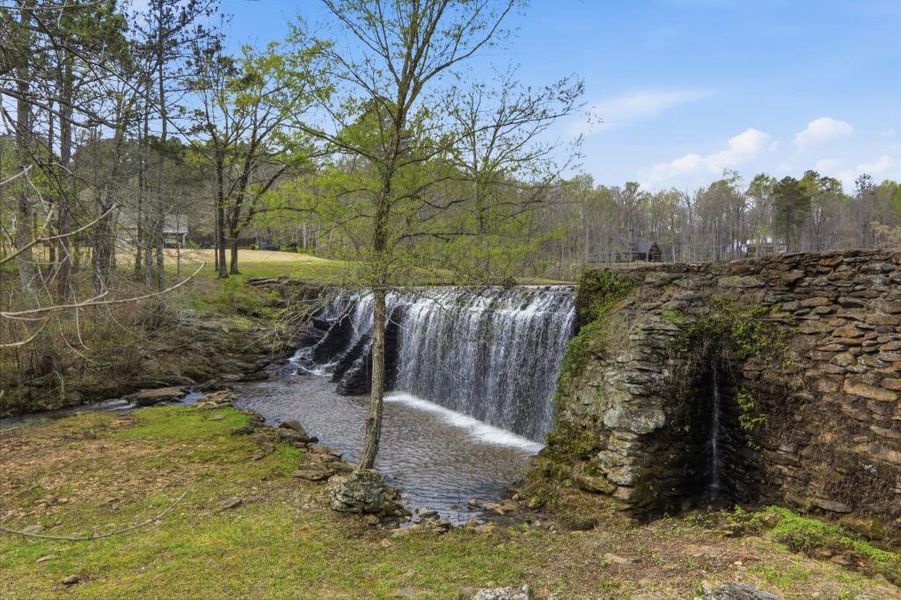 Natural landscape and outdoor views near  in Senoia (Image 109).