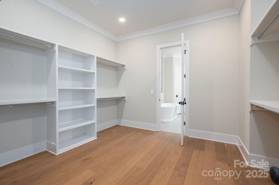 Spacious, unfurnished interior of a new home in , Belmont (Image 40).