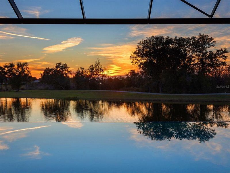 Natural landscape and outdoor views near  in Lakewood Ranch (Image 73).