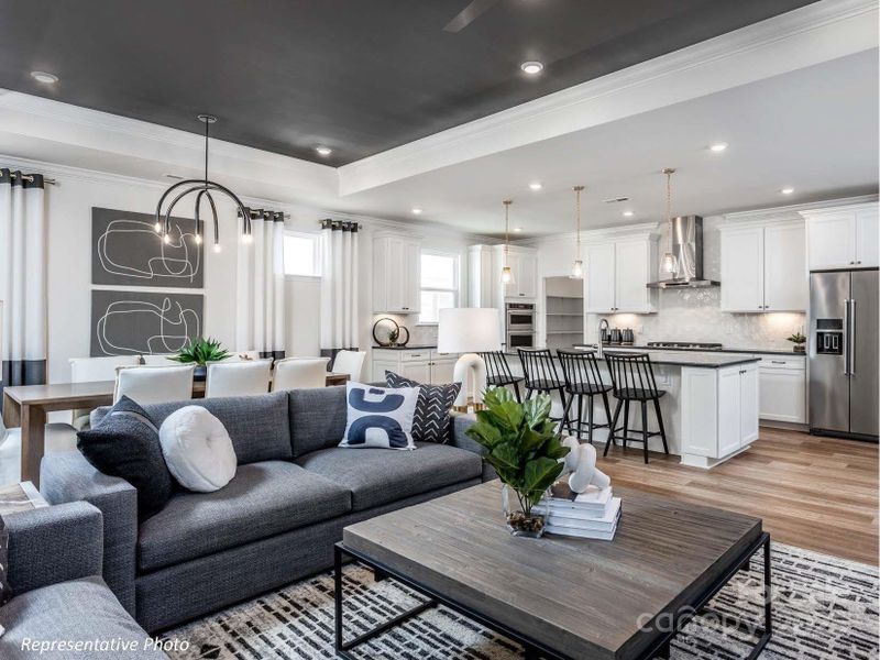 Living Area *Representative Photo