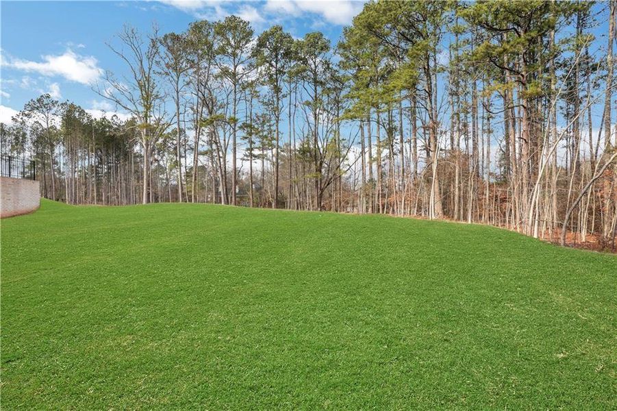 Natural landscape and outdoor views near  in Milton (Image 83).