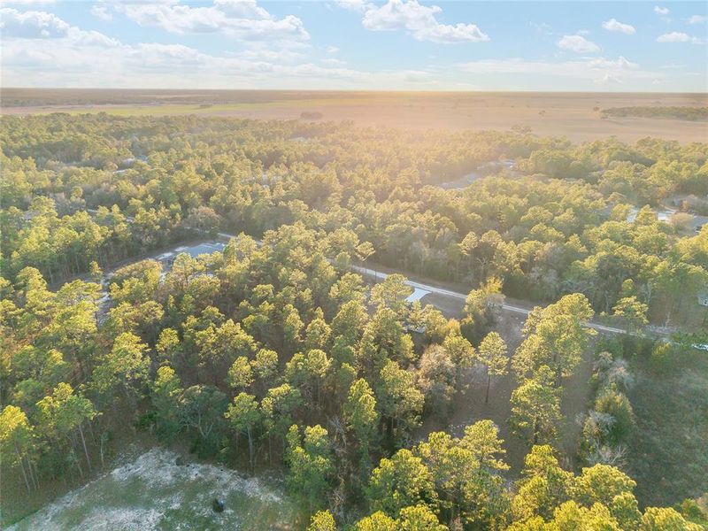 Natural landscape and outdoor views near  in Dunnellon (Image 70).