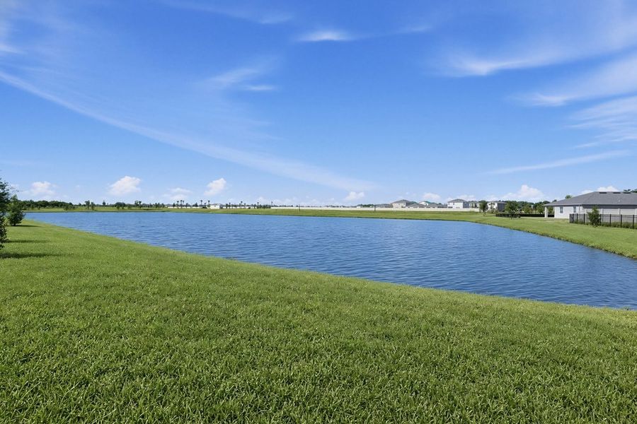 Natural landscape and outdoor views near Firethorn in Parrish (Image 15).