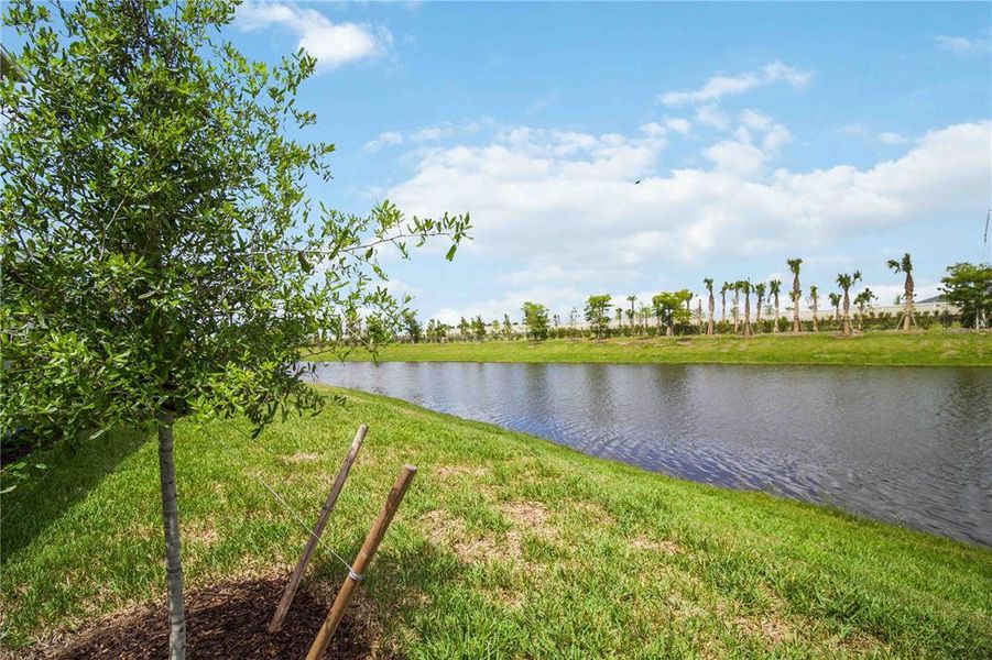 Natural landscape and outdoor views near Calusa Country Club in Lakewood Ranch (Image 27).