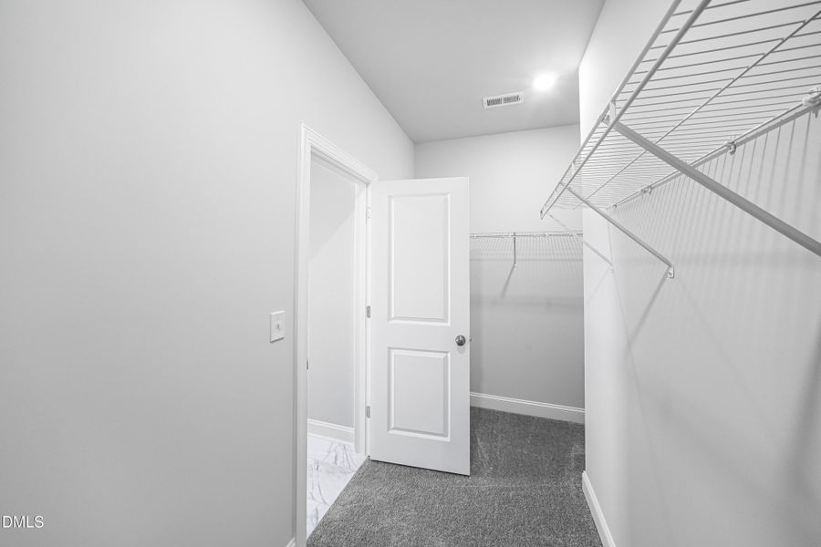 SUN_Everlee_Pic_LandrumIII-34