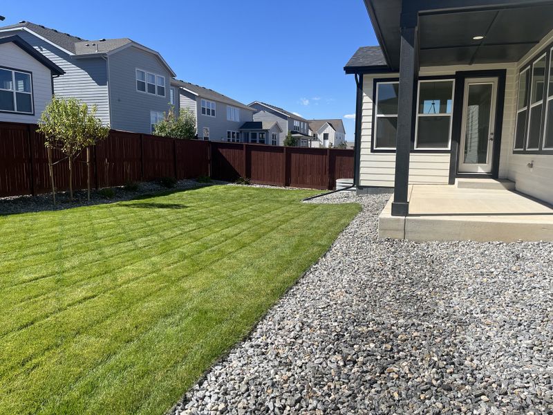1833 Flourish - Backyard