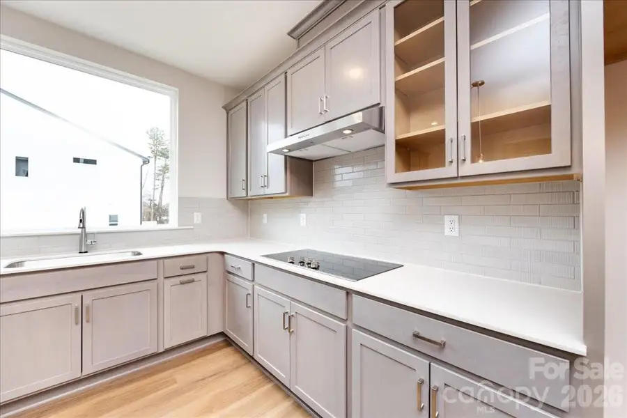 Gouremt Kitchen with Upgraded Glass Door Cabinet