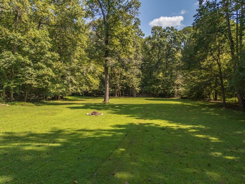 Natural landscape and outdoor views near  in Atlanta (Image 93).