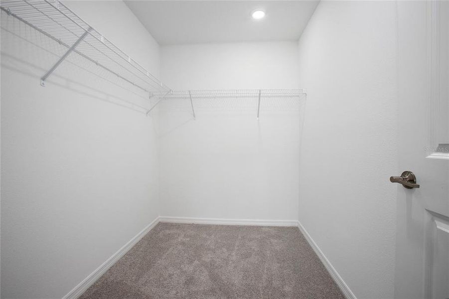 Spacious, unfurnished interior of a new home in , Edgewater (Image 19).