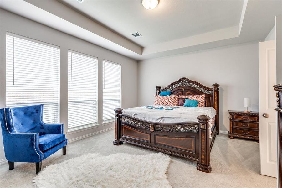 Bedroom featuring a raised ceiling and light colored carpet