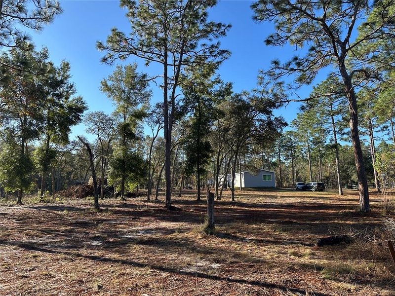 Natural landscape and outdoor views near in Williston (Image 29). Natural landscape and outdoor views near in Williston (Image 29).
