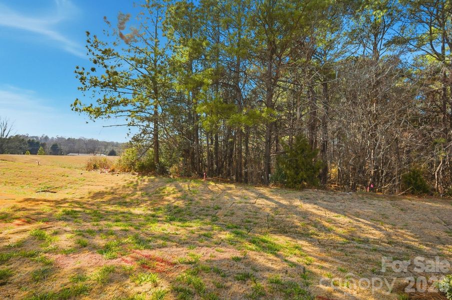 Natural landscape and outdoor views near  in Waxhaw (Image 36).