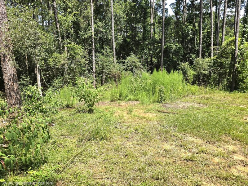 Discover your private oasis with this expansive backyard, offering a lush, natural landscape perfect for creating your serene retreat. Discover your private oasis with this expansive backyard, offering a lush, natural landscape perfect for creating your serene retreat.