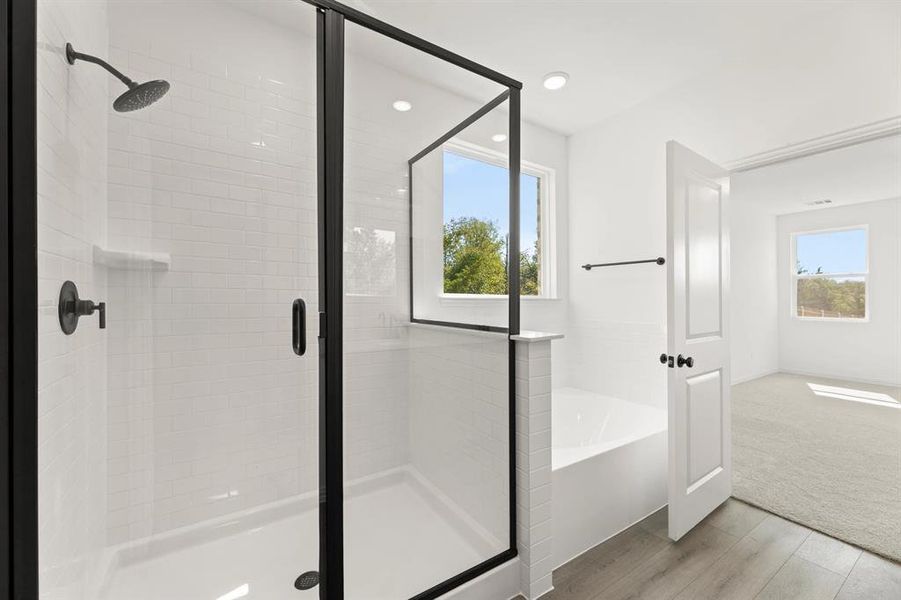 Furnished interior view inside a new home in Meadow Park, Melissa (Image 8). Furnished interior view inside a new home in Meadow Park, Melissa (Image 8).