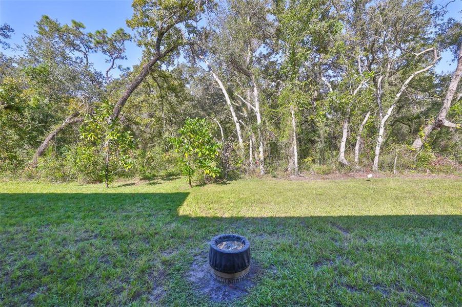 Natural landscape and outdoor views near Bella Terra in Hudson (Image 43).