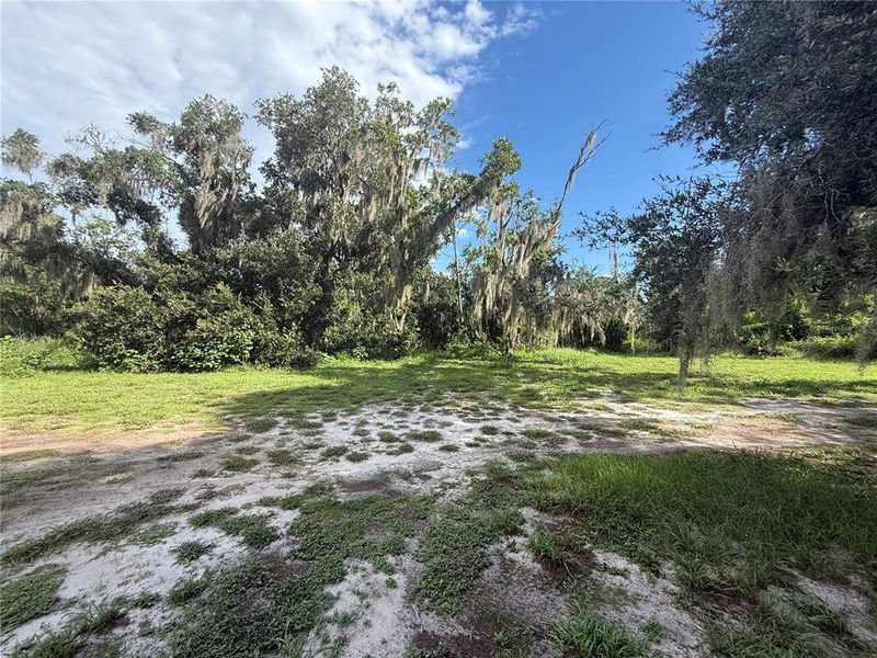 Natural landscape and outdoor views near  in Parrish (Image 22).