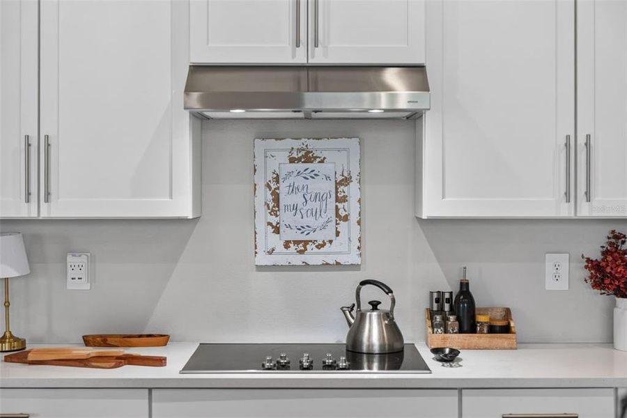 Close-up of interior finishes inside a home in , Lakewood Ranch (Image 22).