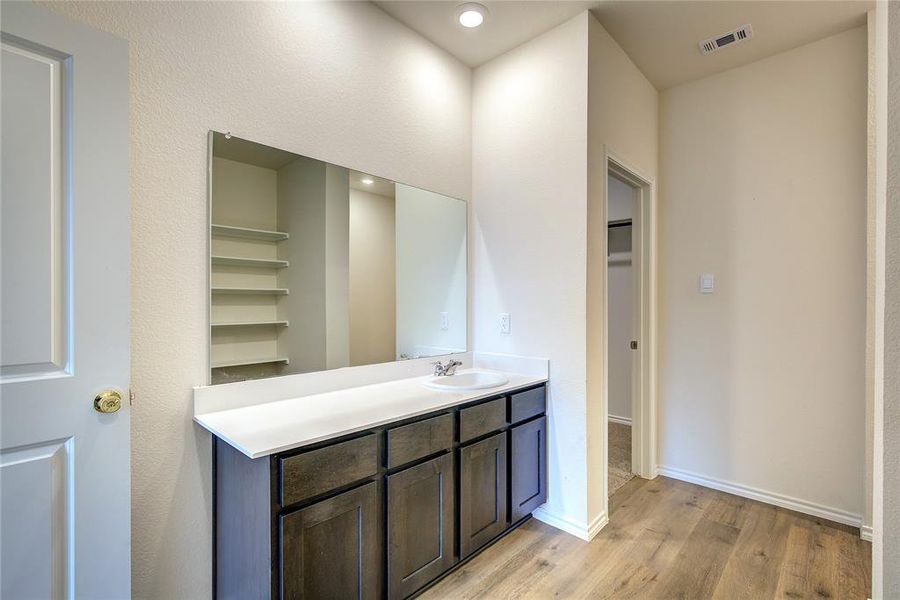 Bathroom featuring vanity, light wood-style flooring, and a spacious closet