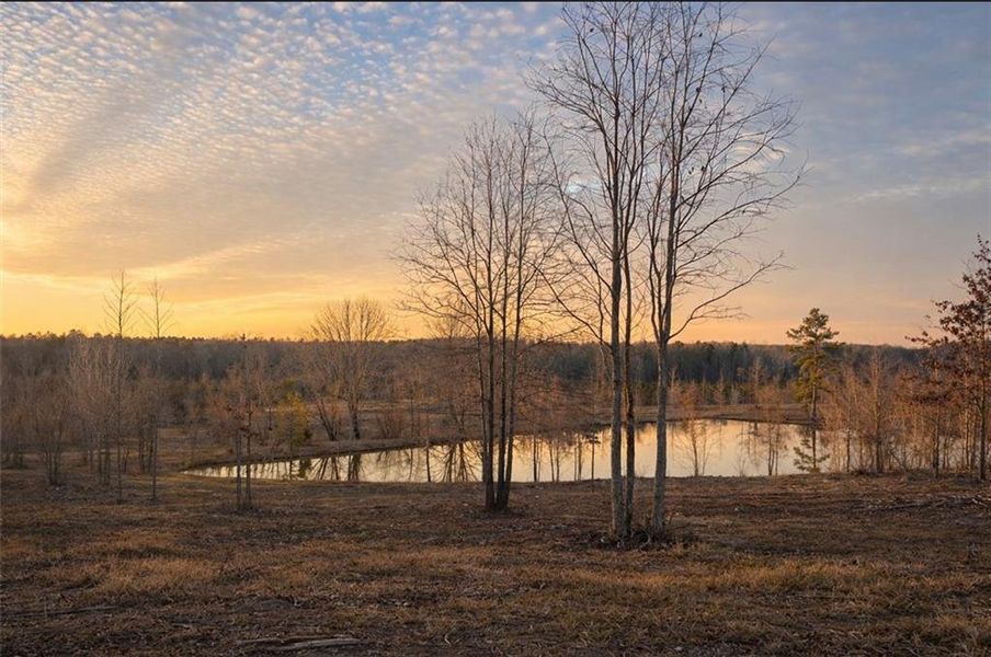 Natural landscape and outdoor views near  in Cave Spring (Image 33).