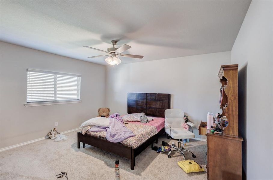 Bedroom featuring carpet flooring and a ceiling fan Bedroom featuring carpet flooring and a ceiling fan