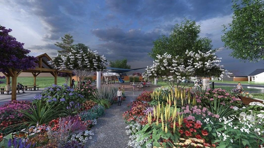 Newport Grove Proposed Amenities