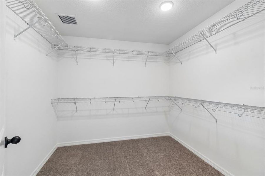 Spacious, unfurnished interior of a new home in Avalon West, Spring Hill (Image 57).