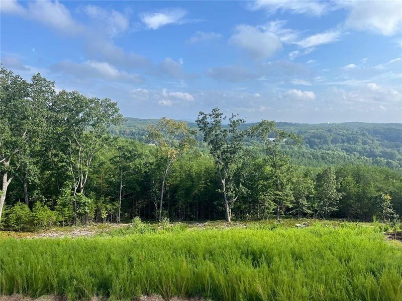 Natural landscape and outdoor views near Horizon at Laurel Canyon in Canton (Image 26).