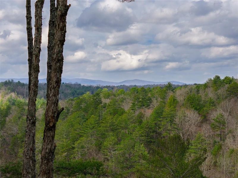 Natural landscape and outdoor views near  in Ellijay (Image 25).
