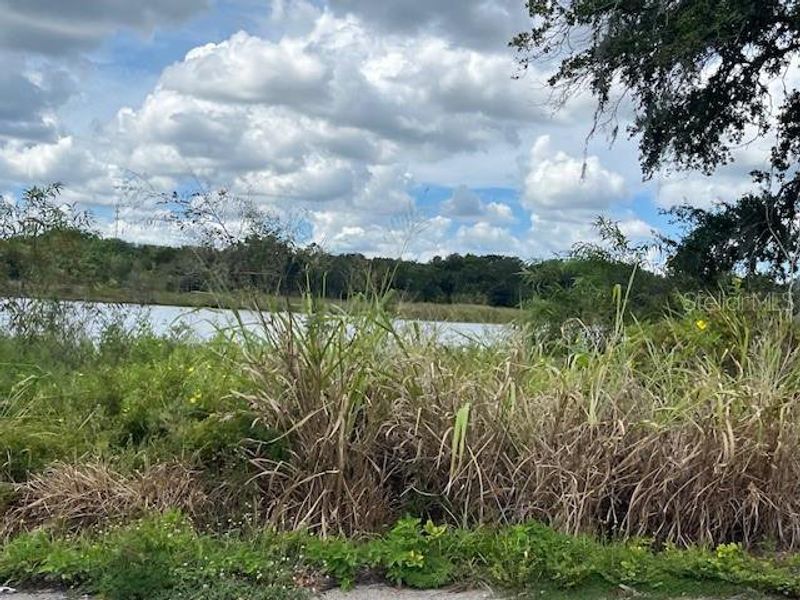Natural landscape and outdoor views near  in Mascotte (Image 21).