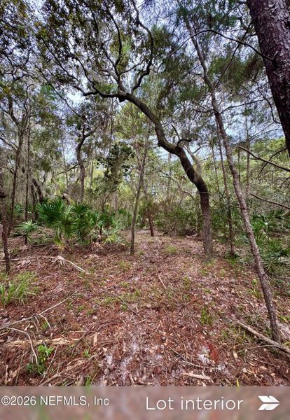 Natural landscape and outdoor views near  in St. Augustine (Image 30).