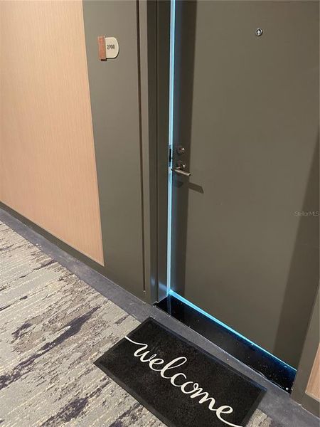 Close-up of interior finishes inside a home in , St. Petersburg (Image 4).