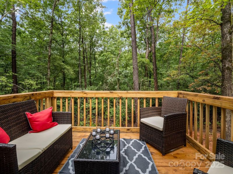 257 Roadrunner Circle Lake Lure NC 28746-28 257 Roadrunner Circle Lake Lure NC 28746-28