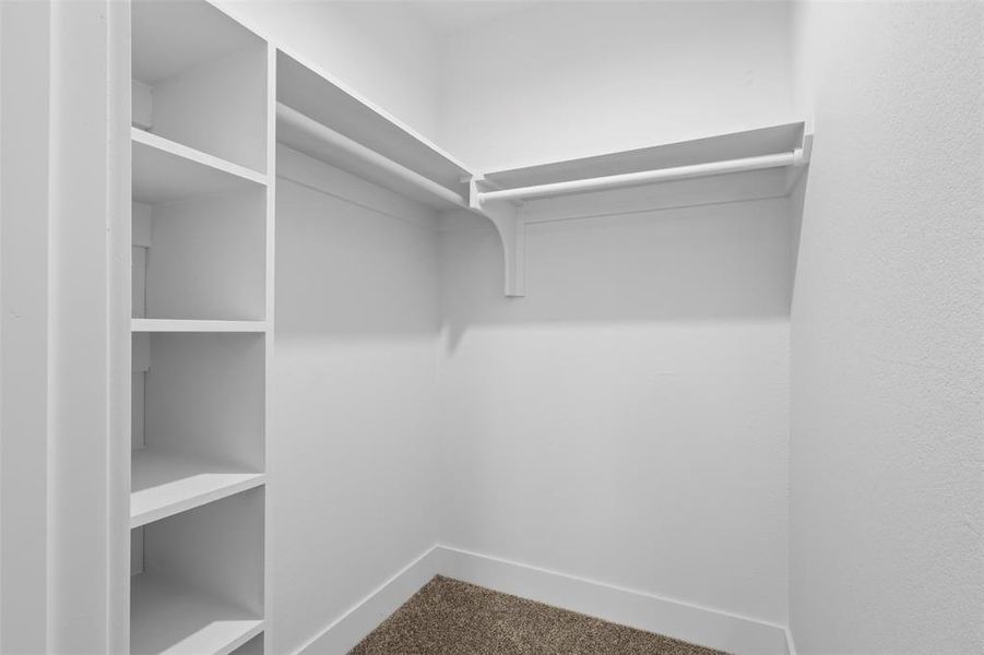 Walk in closet with carpet